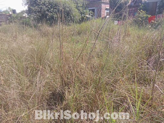 Land sell in mirpur kaundia